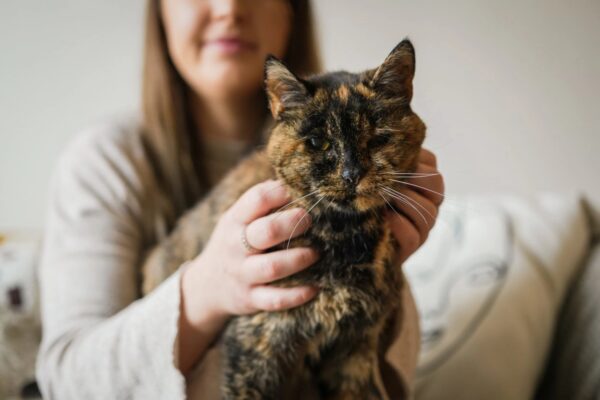 World's oldest cat