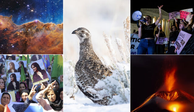 2022-in-pictures