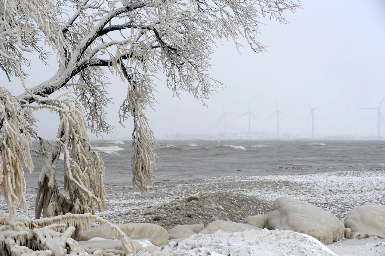 US Bomb Cyclone in Pictures: Buffalo suburb and surrounding area was the hardest hit area