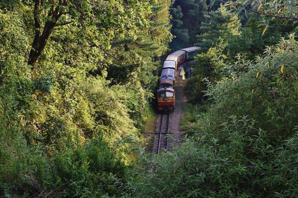 Hydrogen train to run on narrow gauge heritage tracks in India