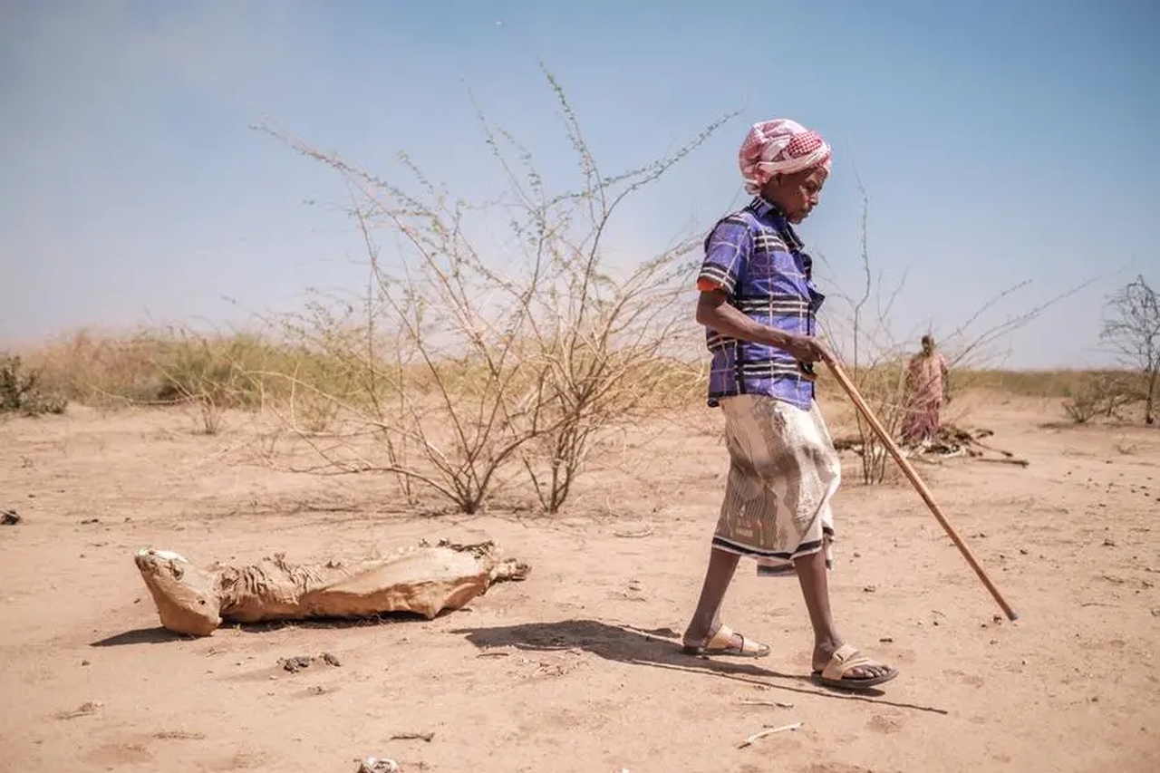 The Horn of Africa is Parched amid Worst Drought in Decades