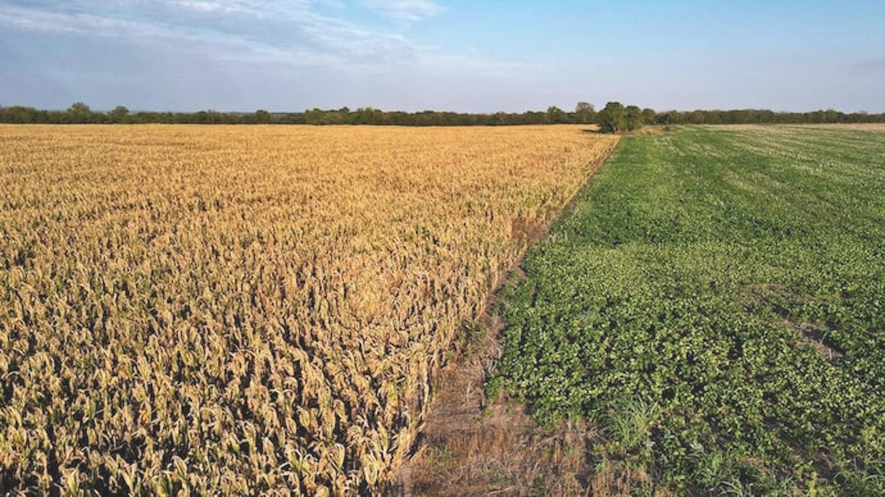 Climate Change-Linked Heat Worsened Argentina's Drought