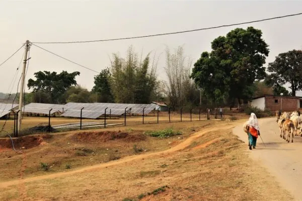 Odisha's Solar Potential 7x Higher Than Estimated: iFOREST Study