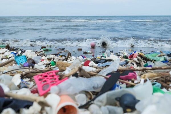 170 Trillion Plastic Particles Found Floating in Oceans