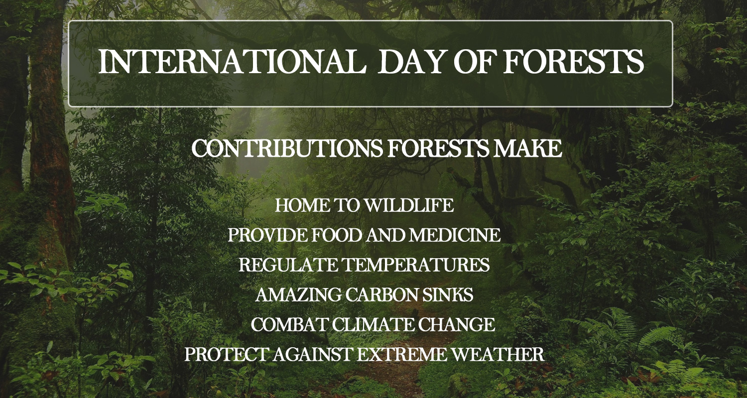 International-Day-of-Forests-1