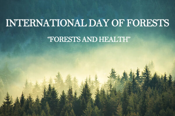 International-Day-of-Forests