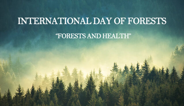International-Day-of-Forests