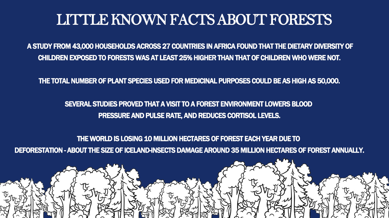 Little-Known-Facts-About-Forests