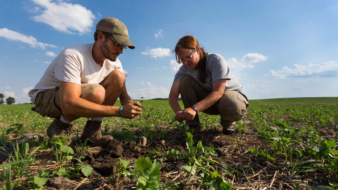 Sustainable-Agriculture-and-Soil-Conservation