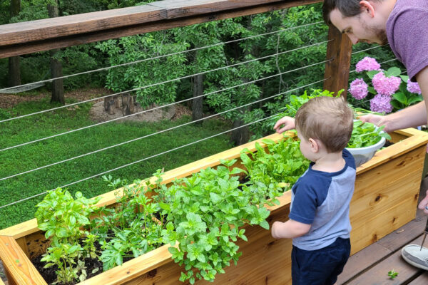 How to Live Sustainably With Kids