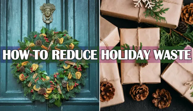 How to Reduce Holiday Waste