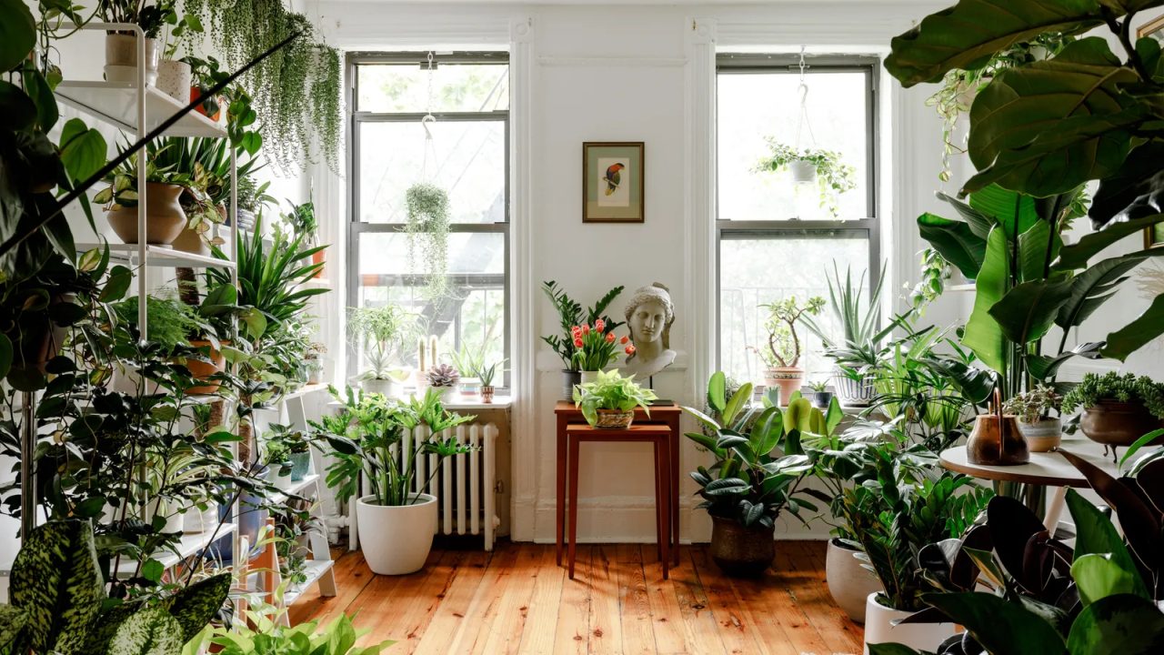 Green living space in homes and offices