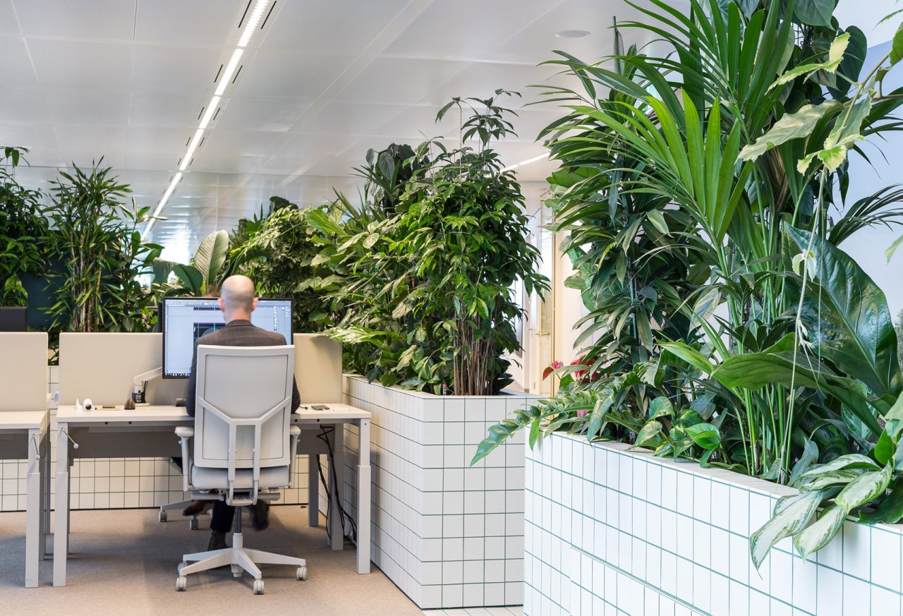 Green living space in offices