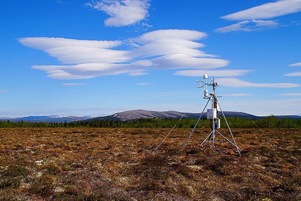 Arctic Wetlands Releasing Alarming Amounts of Climate-Warming Methane