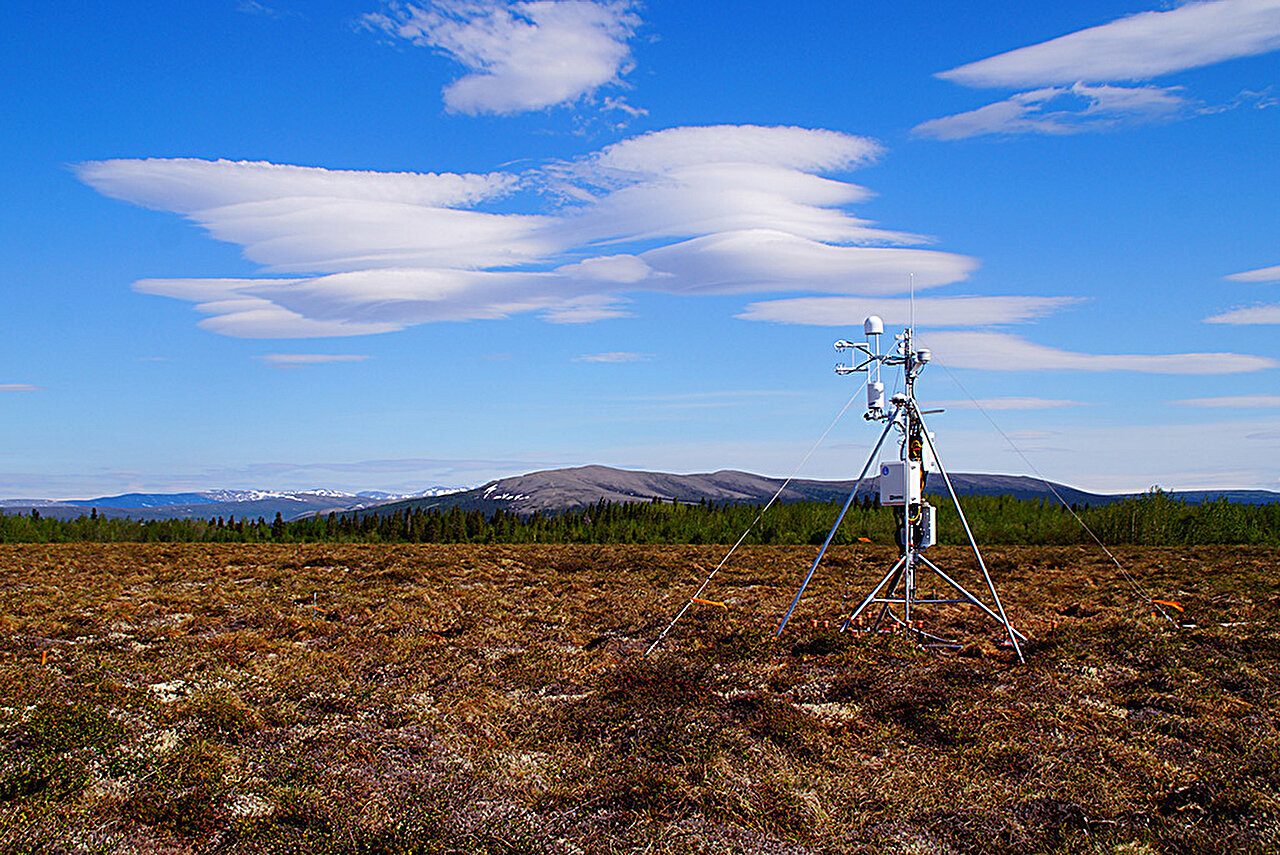 Arctic Wetlands Releasing Alarming Amounts of Climate-Warming Methane