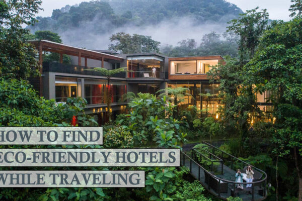 How-to-find-eco-friendly-hotels-during-travel-Tips-and-Tricks