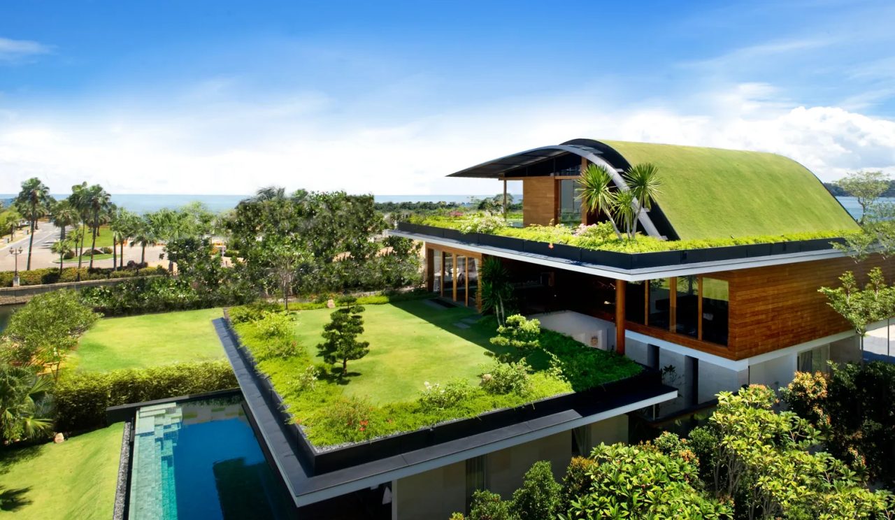 Sustainable Home Design Ideas - green roofs