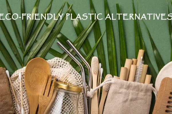Eco-friendly Plastic alternatives