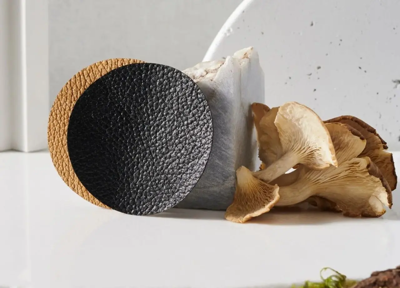 Plastic Alternatives - Mycelium