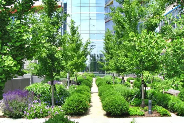 Sustainability Initiatives Around the World