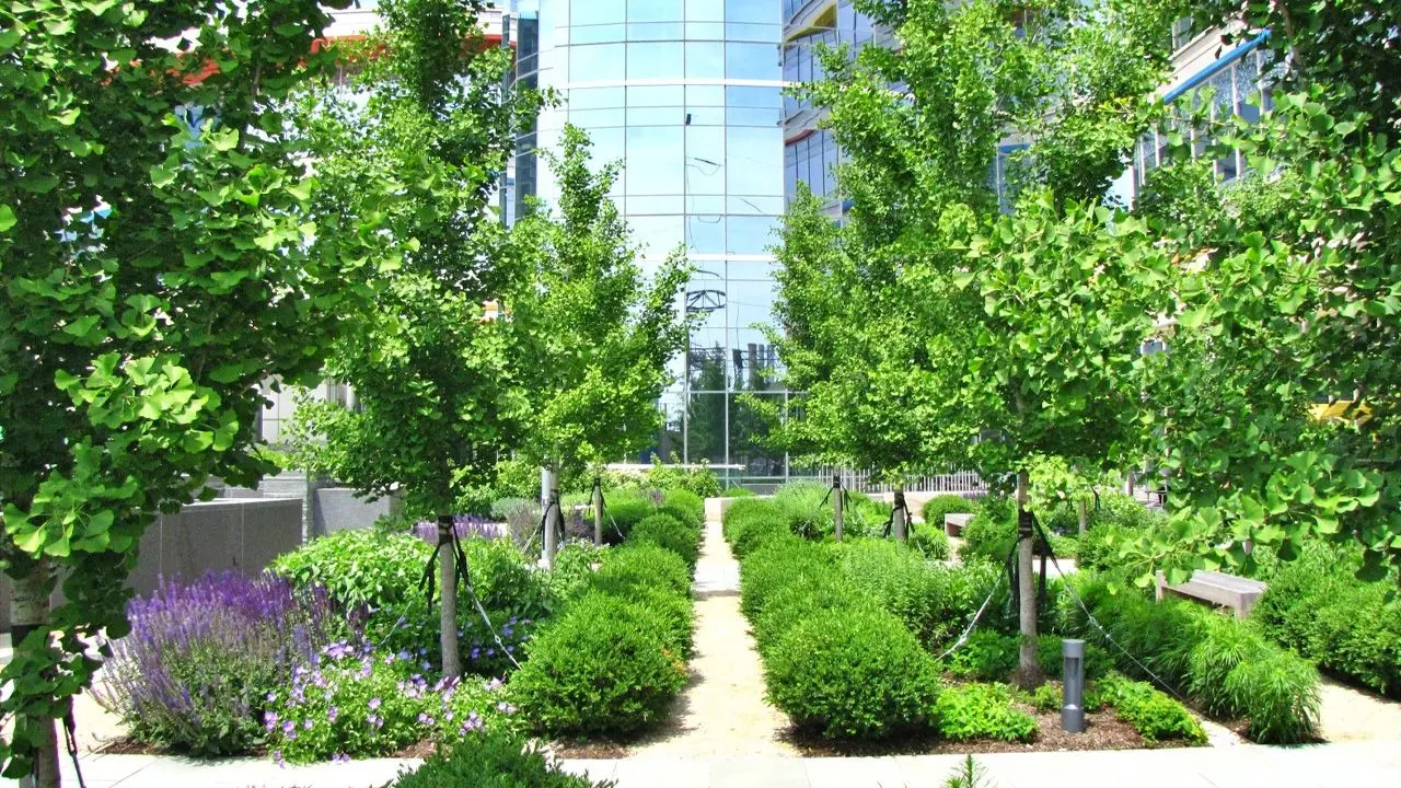Sustainability Initiatives Around the World - The U.S.’s Green Roof Programs